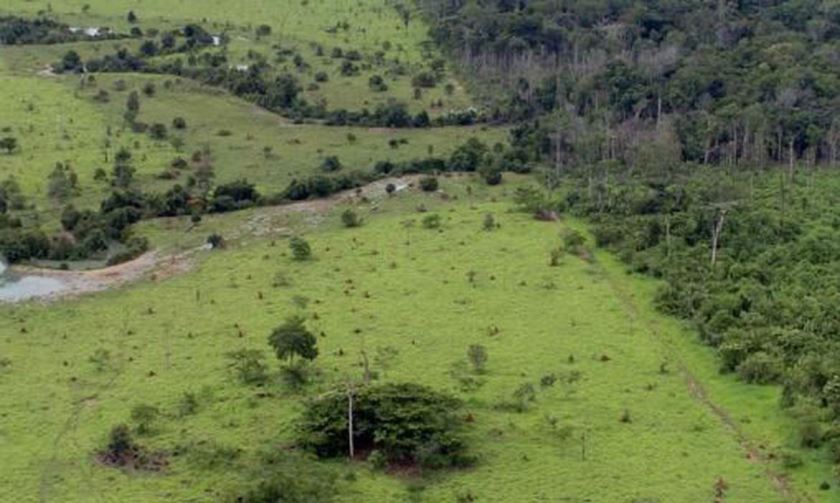 Chamado de Certificado de Cadastro de Imóvel Rural (Ccir), esse documento pode ser obtido por meio do aplicativo SNCR Mobile - Arquivo/AgênciaBrasil