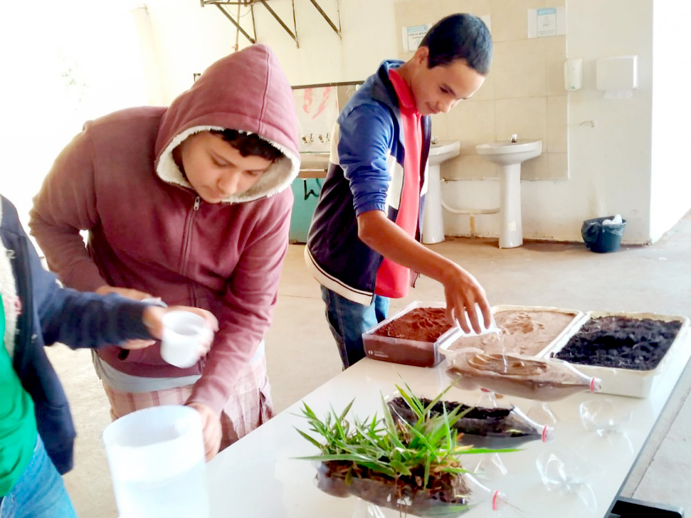 Projeto trabalha com práticas sustentáveis, como atividades em hortas - Divulgação