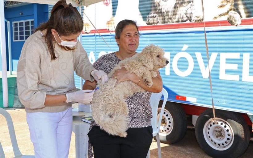 Esta será a 47ª edição da ação que oferece serviços gratuitos para pets e já percorreu diversos bairros da cidade. - Divulgação/Assessoria