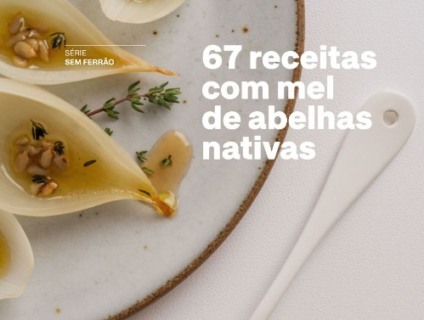67 receitas com mel de abelhas nativas - Foto: Paulo Machado