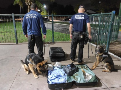 Cães farejadores localizaram as drogas - Foto: Divulgação