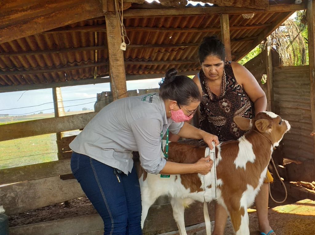 O programa tem duração de 24 meses e neste período o produtor receberá gratuitamente visitas mensais de um técnico do Senar MS que irá assessorá-lo técnica e gerencialmente na atividade. - DIVULGAÇÃO