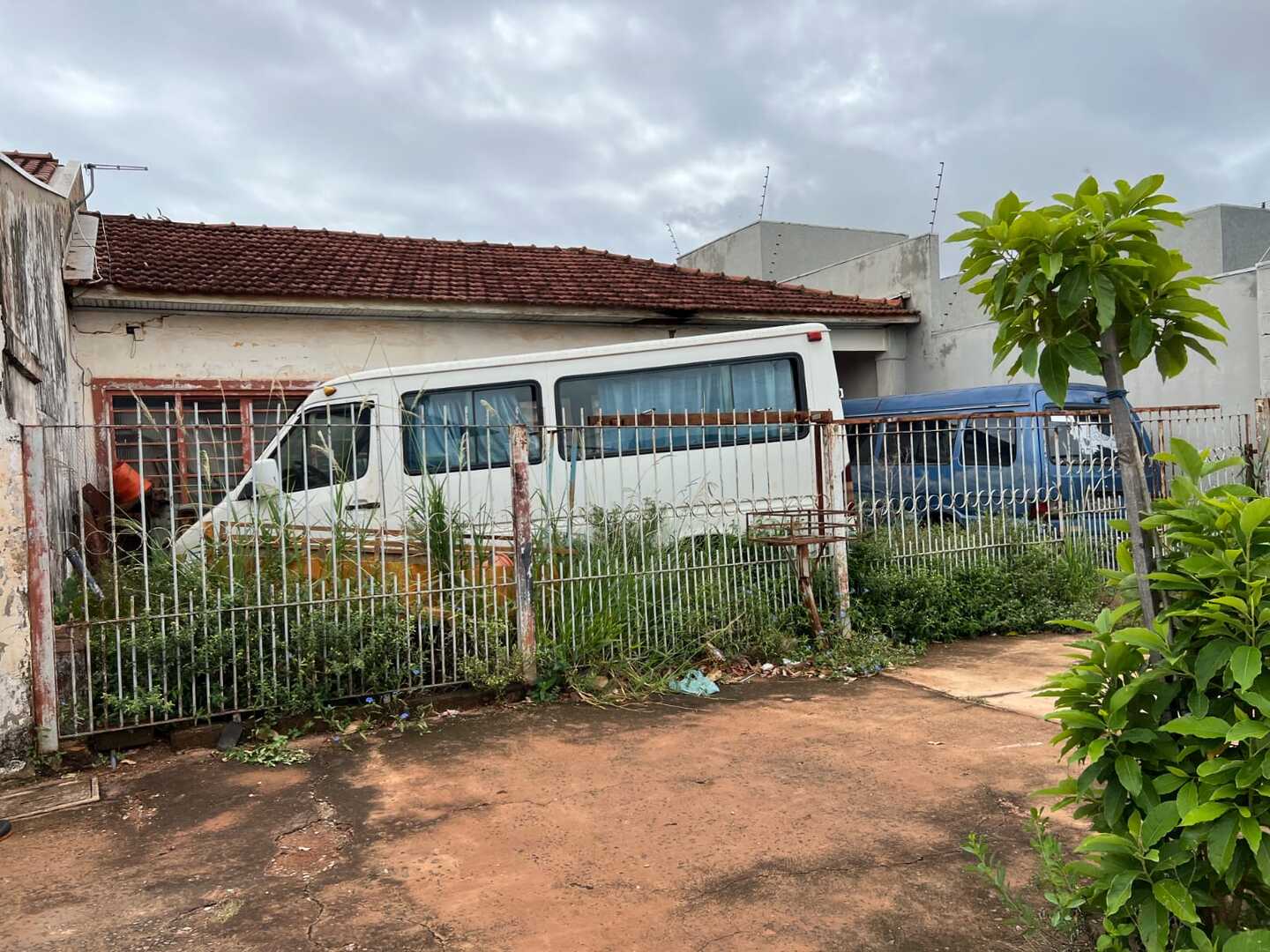 Local está propício para proliferação da dengue com acúmulo de lixo e vegetação crescendo há mais de seis meses - Foto: Eduardo Suede/CBN CG