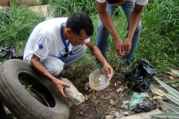 Maracaju lidera ranking de casos confirmados no estado, com 38 casos - Foto: Divulgação