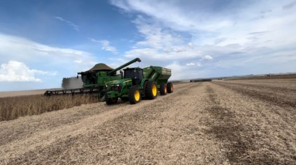 Colheita de saca por hectare evoluiu muito durante os anos - Foto: Willian Xandó