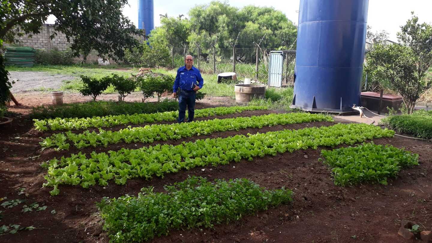 Ano passado foram entregues mais de 200 toneladas do fertilizantes em Campo Grande - Foto: Divulgação/ Prefeitura