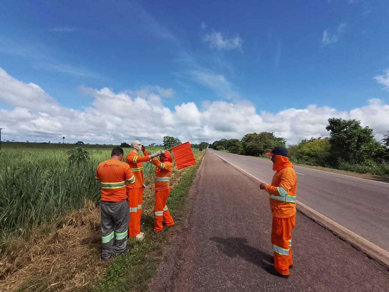 Trecho de 200 km com maior incidência fica entre Miranda e Corumbá - Foto: Divulgação/IHP