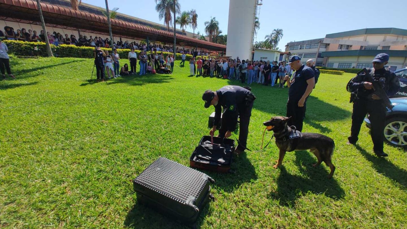 O responsável por esse trabalho eficiente é Yanko, cão da raça pastor belga, utilizado pela Receita Federal no trabalho de fiscalização de bagagens e encomendas via postal em Mato Grosso do Sul - Foto:Divulgação/UCDB