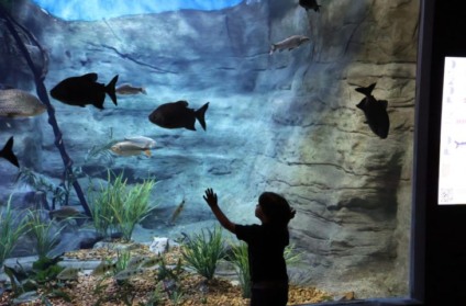 Agendamentos são realizados no site do Bioparque - Foto: Álvaro Rezende/ Governo do Estado