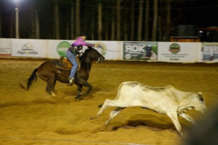 Evento valoriza a cultura e o esporte no estado, e representa a tradição das laçadas em Mato Grosso do Sul - Foto: Saul Schramm