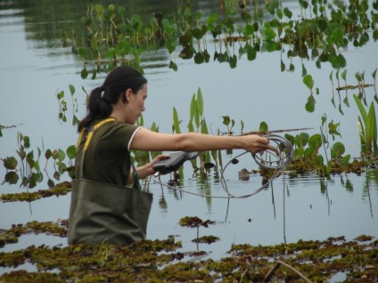 Estudo da UFMS visa conhecer a fauna e flora de Mato Grosso do Sul - Foto: Arquivo da pesquisadora