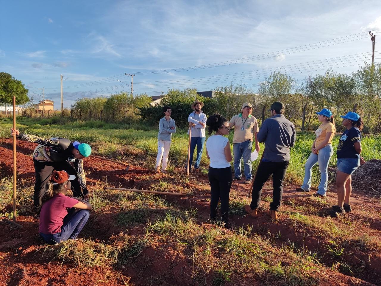 Além de atividades teóricas, foram realizadas atividades como preparação da área de cultivo, adubação, forração - Divulgação/UFMS