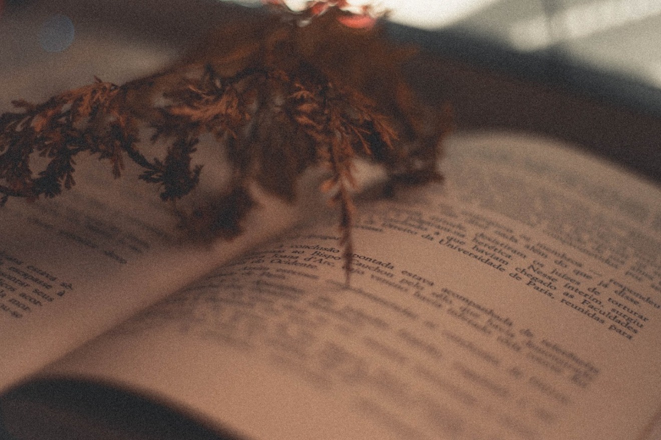 Inscrições são gratuitas, para todas as idades - Foto: Wallace Chuck
