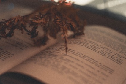Inscrições são gratuitas, para todas as idades - Foto: Wallace Chuck