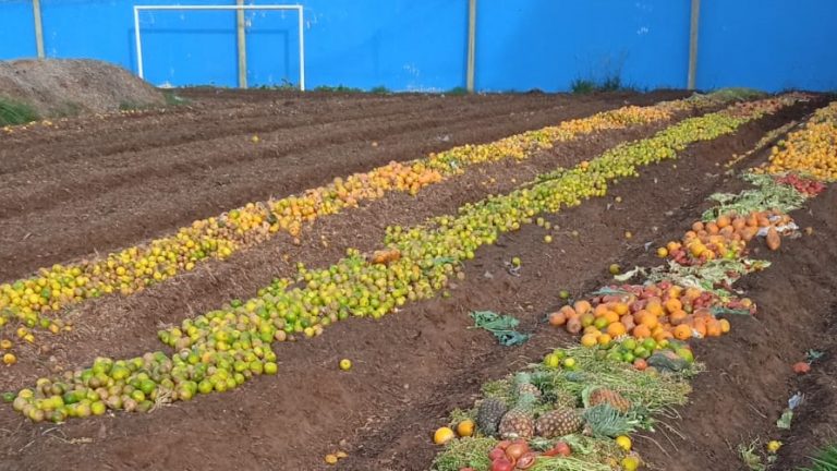 Compostagem é feita em terreno da UTA - Foto: Divulgação/ Prefeitura de Campo Grande