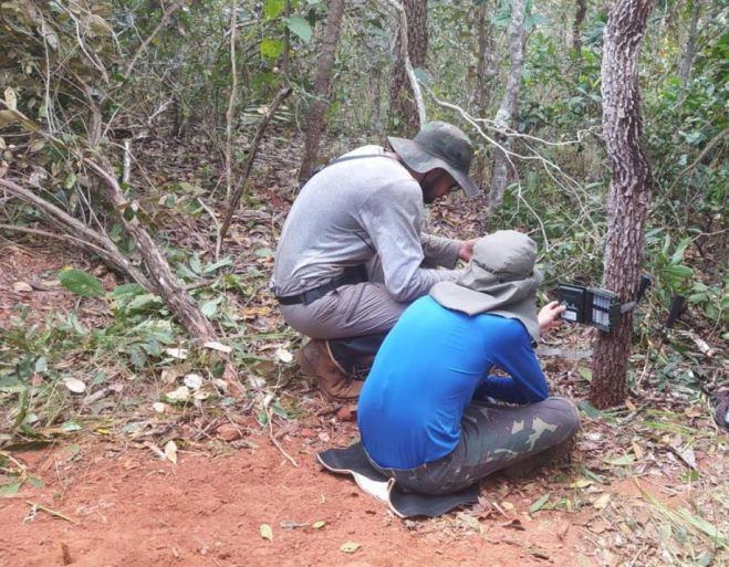 Este trabalho identificou a presença de mais de 69 animais silvestres, incluindo alguns ameaçados de extinção. - Divulgação/Assessoria