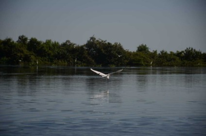 - Foto:Viviane Amorim