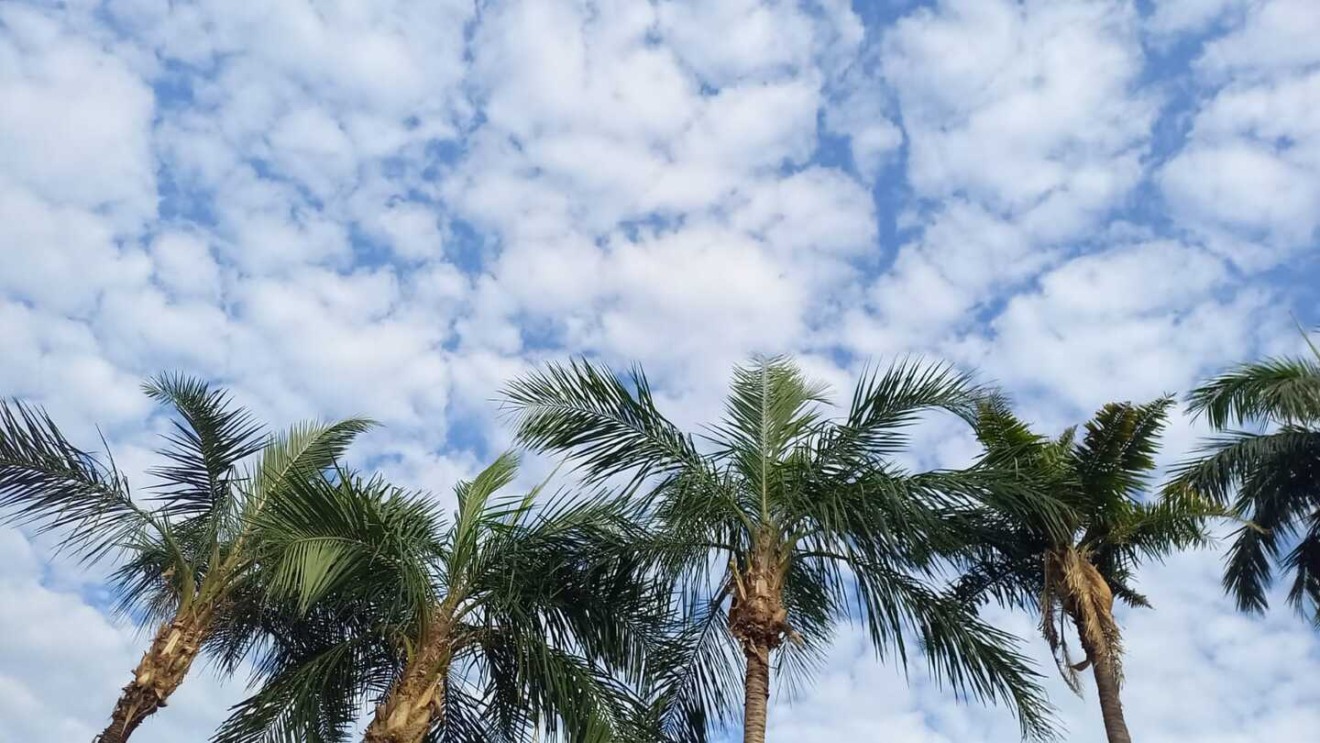 O dia será de céu parcialmente nublado e não tem previsão de chuva - Alfredo Neto/RCN67