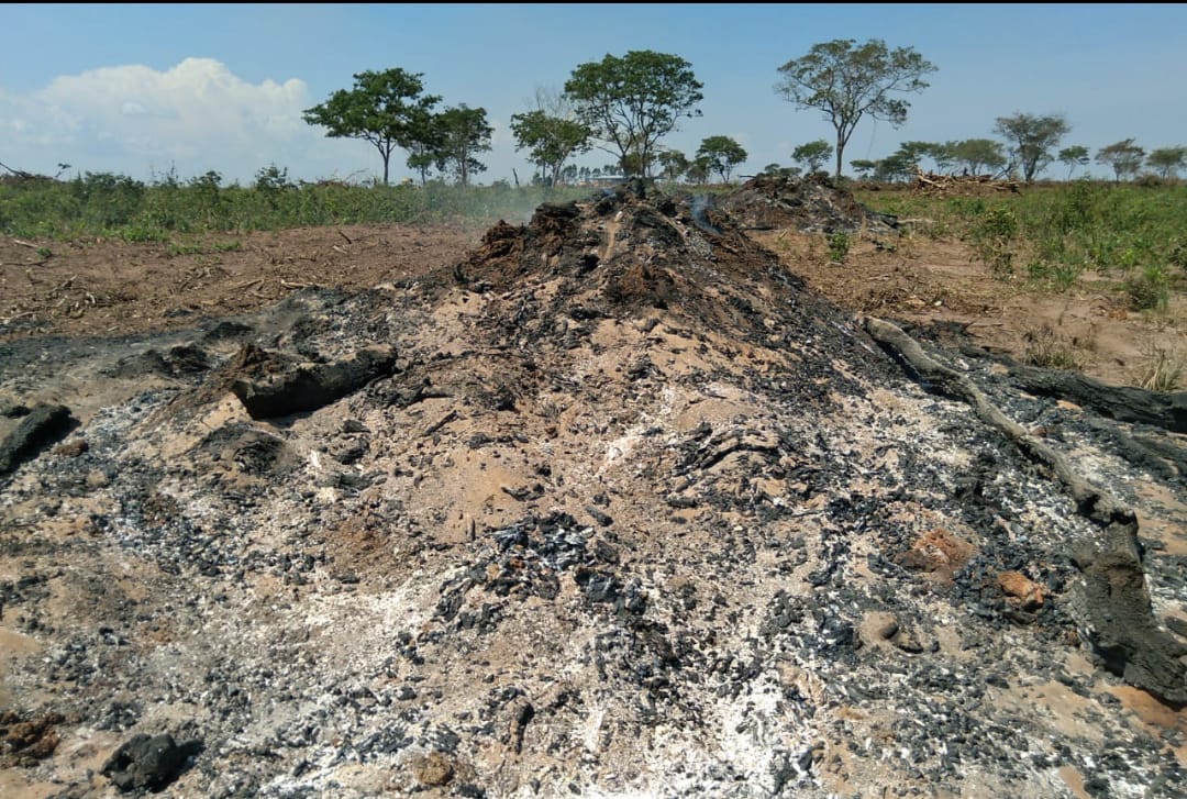 Uso de fogo para limpeza de terrenos é proibido em período de seca - Foto: Divulgação/PMA