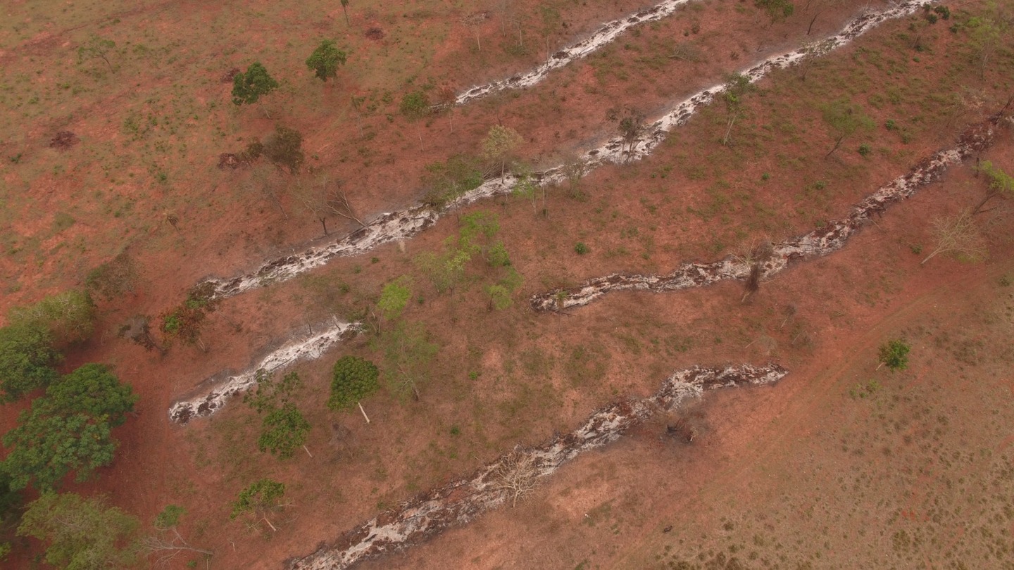 Proprietário rural foi flagrado com 5 leiras queimadas - Foto: Reprodução/PMA