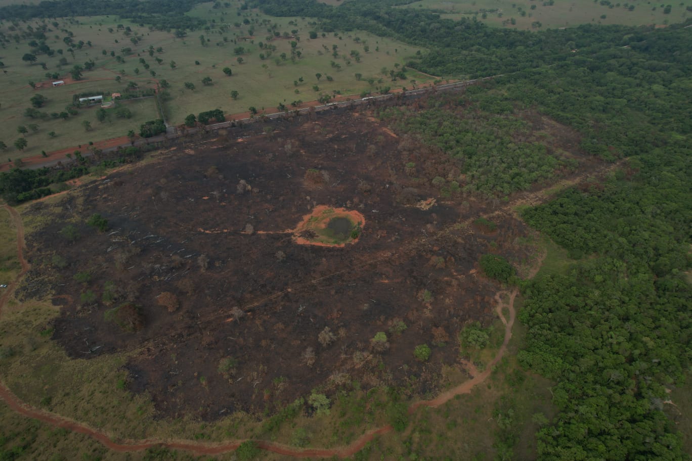 15 hectares de área de pastagem foram queimadas - Foto: Divulgação/PMA