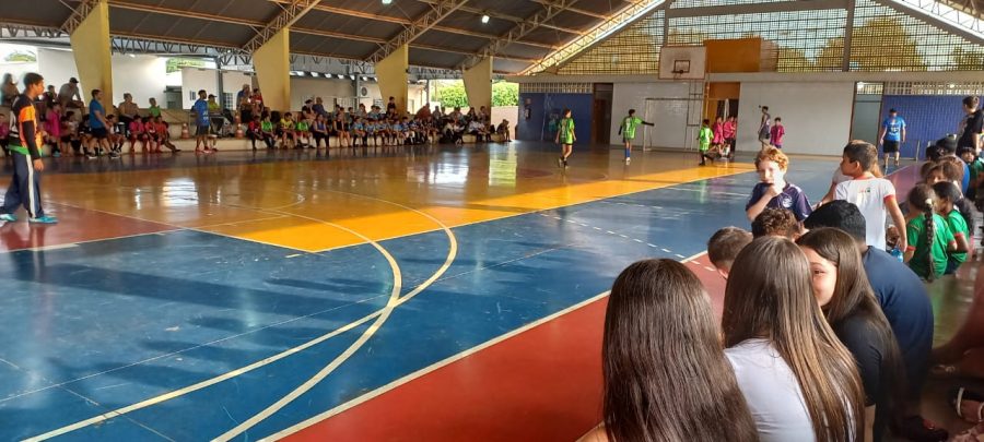 As categorias que participaram foram: Fraldinha, Pré-mirim, Mirim e Infantil, todas as categorias com masculino e feminino - Divulgação