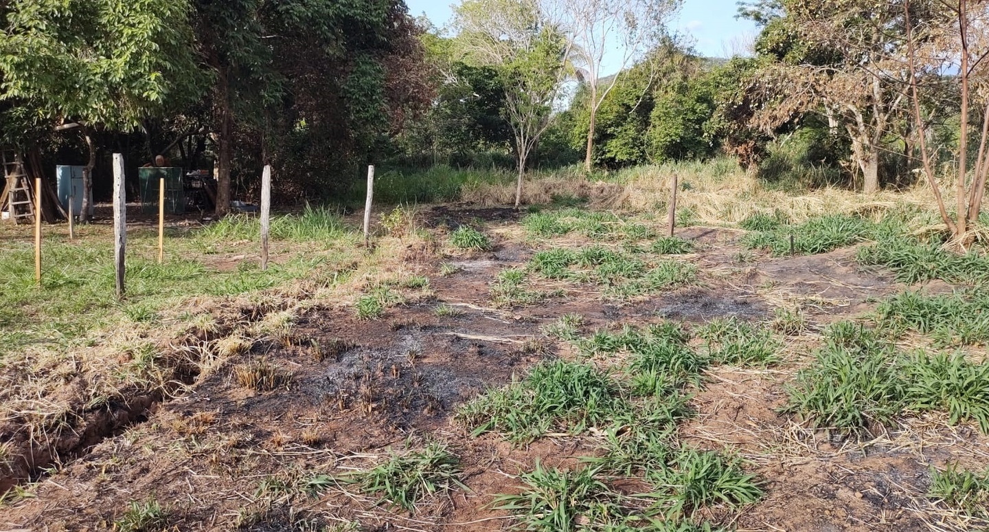 Flagrante aconteceu no distrito de Camisão - Foto: Divulgação/PMA