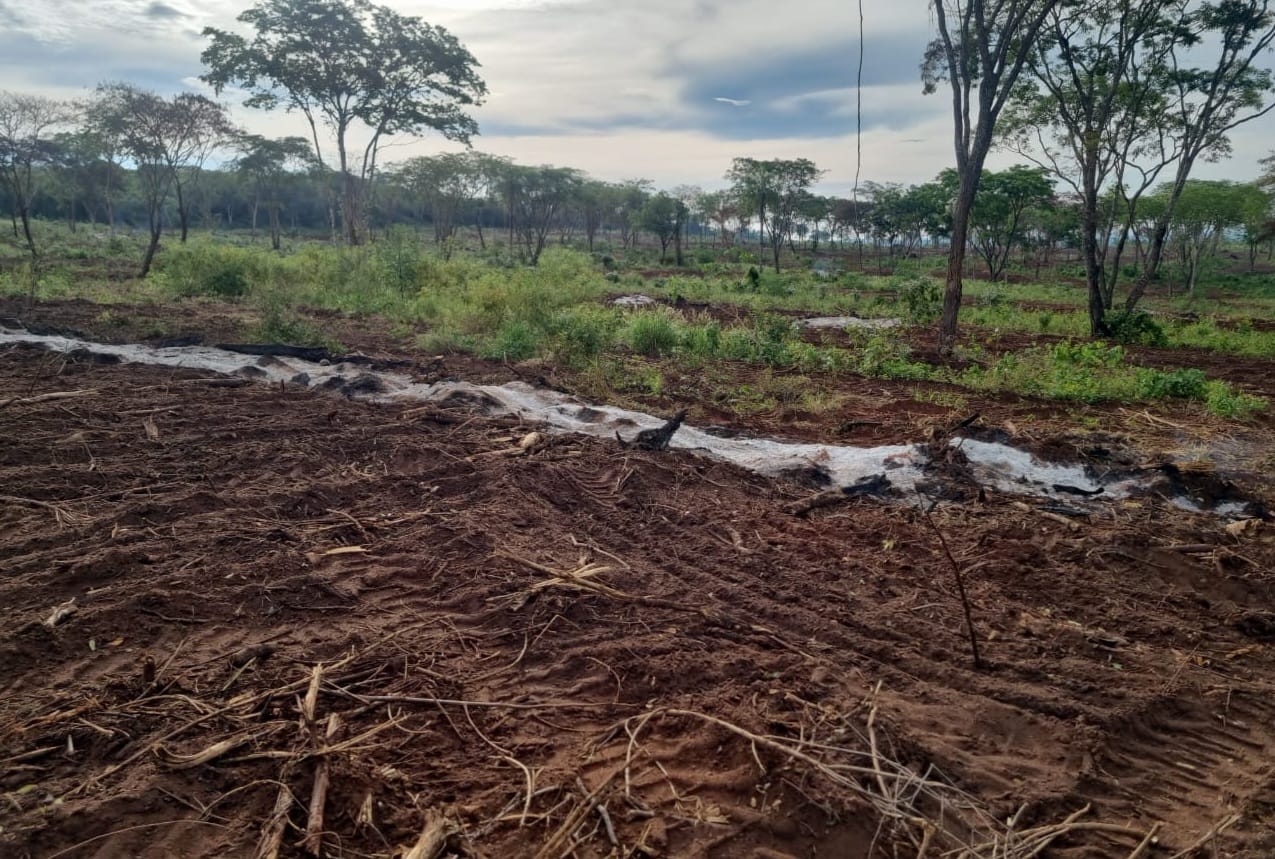 Queima controlada está proibida até 31 de dezembro em MS - Foto: Divulgação/PMA