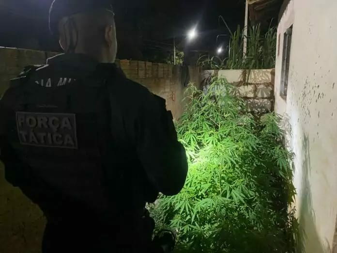 Com várias passagens criminais, suspeito foi flagrado saindo de casa abandonada e abordado pela Força Tática. - Fonte: Divulgação/Polícia Militar