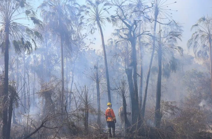 Operações de combate aos incêndios florestais foram intensificadas por conta das condições climáticas extremas - Foto: Divulgação/CBM