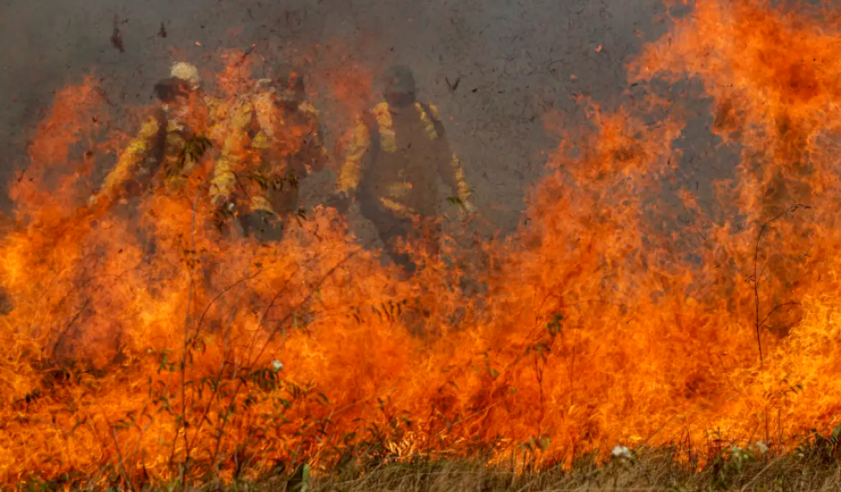 Fogo já consumiu mais de 560 mil hectares de terra no Pantanal em 2024. - Foto: Reprodução/Agência Brasil