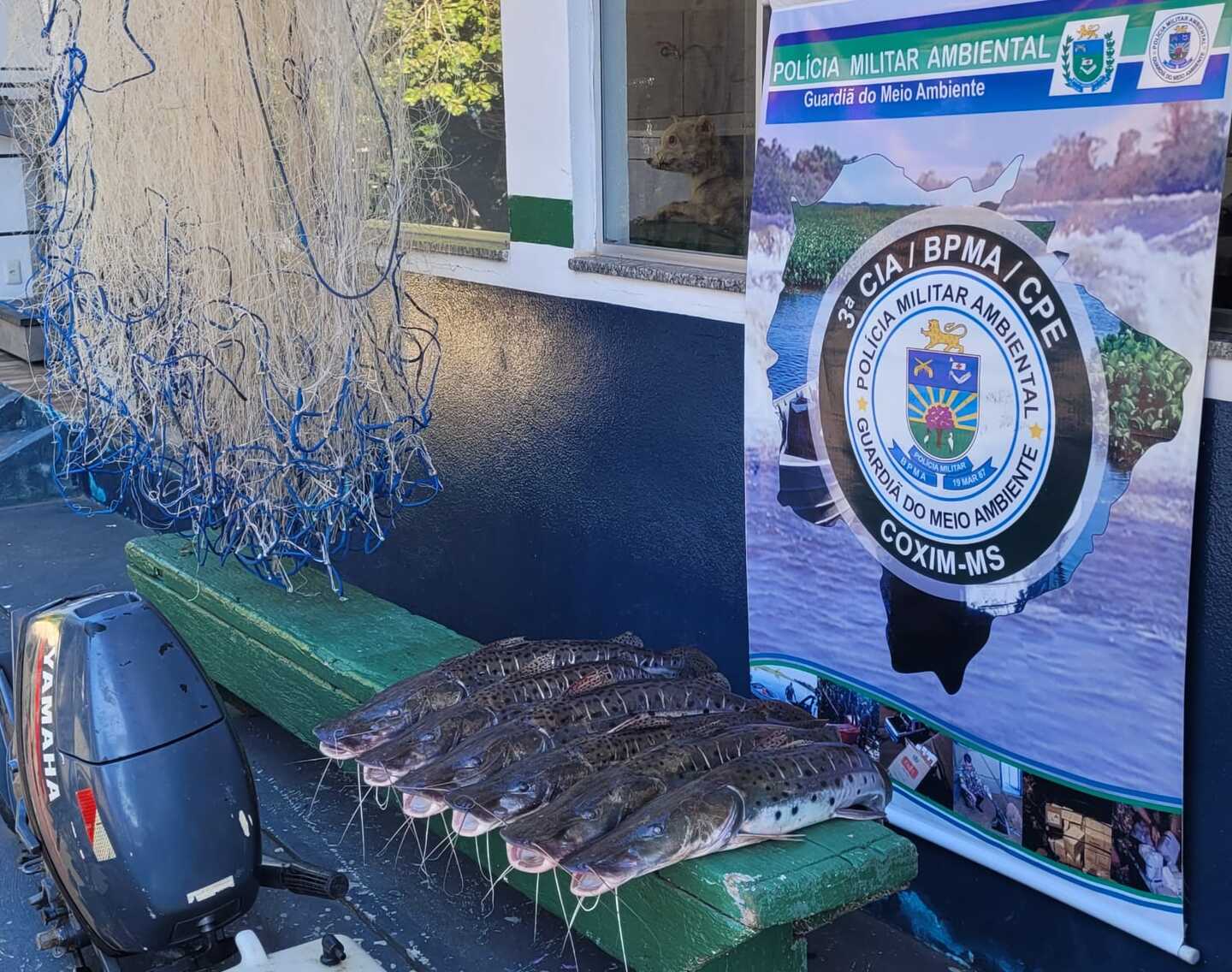 Foram apreendidos 15kg de pescado - Foto: Divulgação/PMA