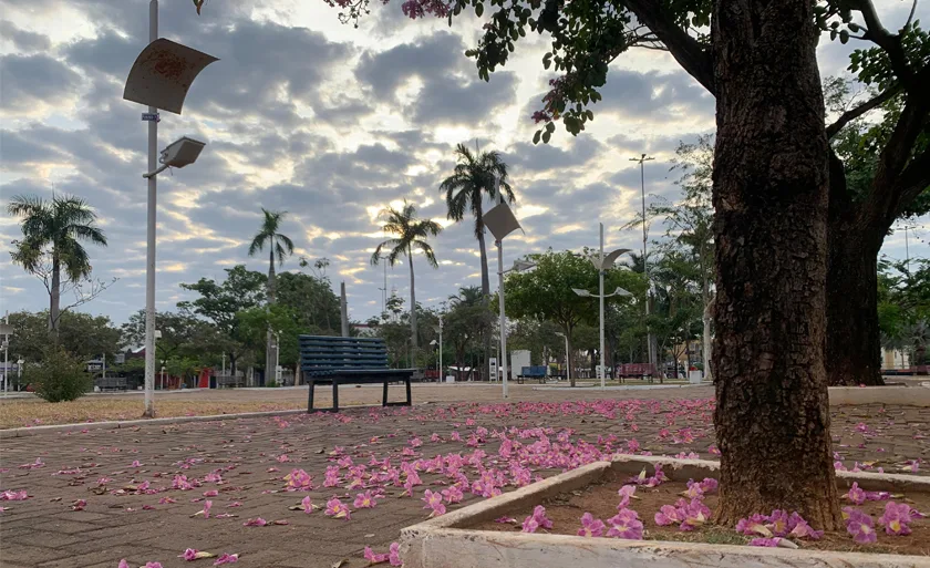 A temperatura máxima pode chegar aos 32°C - Foto: Alfredo Neto/JPNews