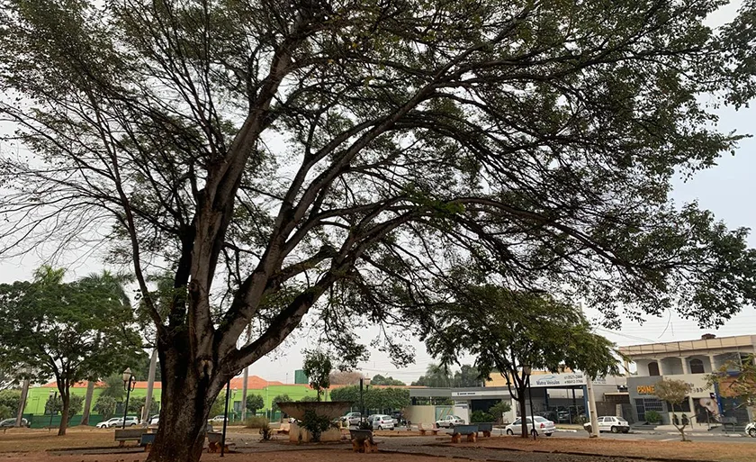 A previsão indica elevação nas temperaturas e tempo estável - Foto: Alfredo Neto/JPNews