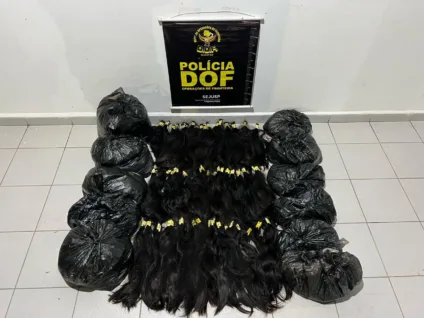 Os 44kg foram avaliados em R$ 440 mil - Foto: Divulgação/DOF