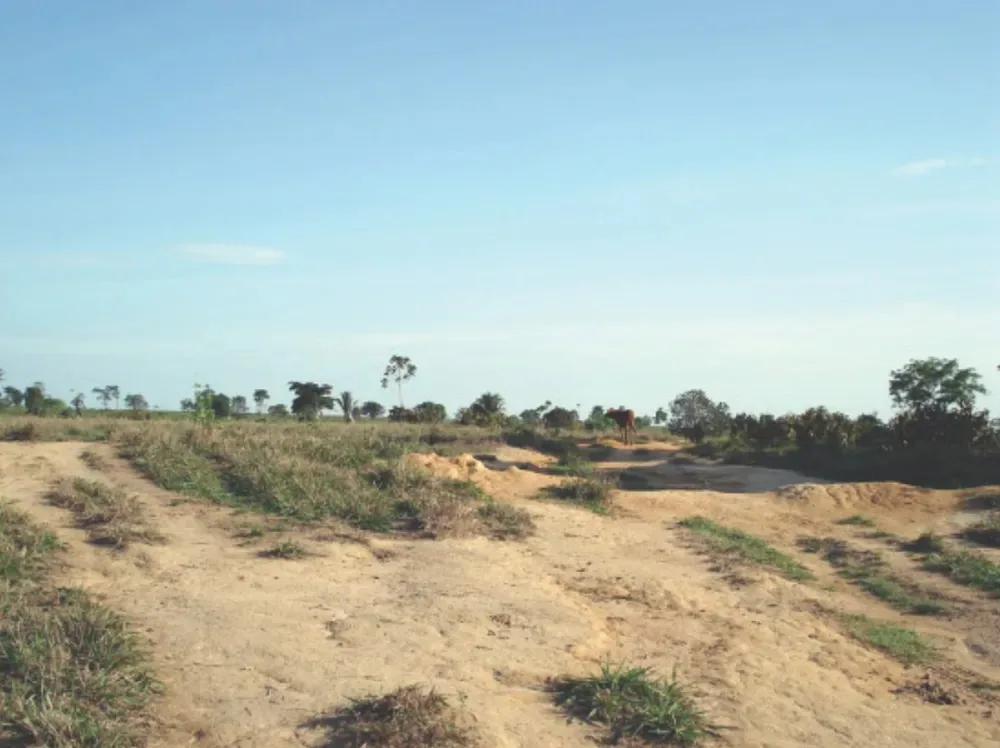 Mato Grosso do Sul reduziu a área de degradação em um milhão de hectares em 20 anos - Foto: Mailda Lyra/Embrapa