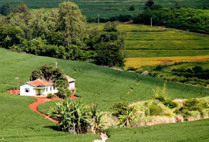 Em Campo Grande, é considerada pequena propriedade rural imóvel com até 60 hectares - Foto: Reprodução/ Anoreg