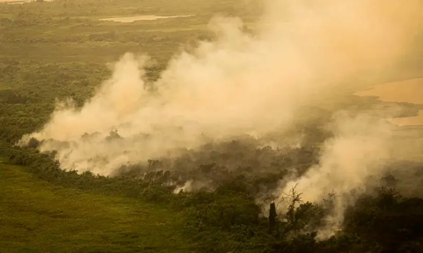 Incêndios florestais no Mato Grosso do Sul. - Foto: Divulgação