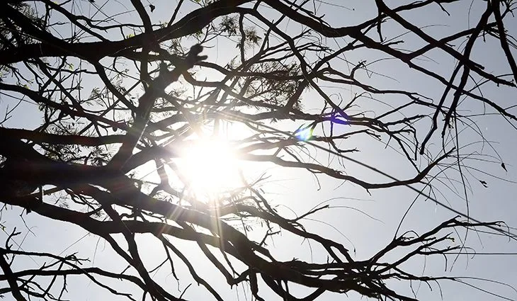 O dia deve seguir com máximas acima de 30ºC nos municípios de Mato Grosso do Sul. - Foto: Reprodução/ Governo de MS