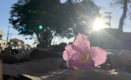 Mínima registrada foi de 17°C e a máxima será de 31°C - Alfredo Neto/RCN67