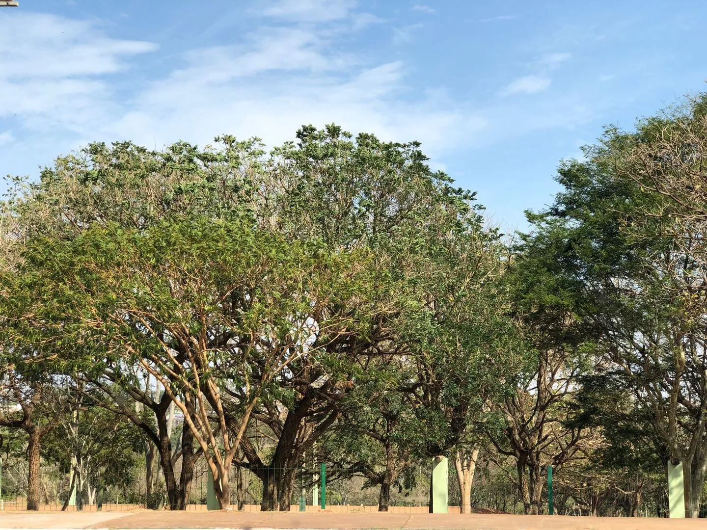 Sistema de alta pressão atmosférica inibe a formação de nuvens e a ocorrência de chuvas em MS - Foto: Arquivo/CBN-CG