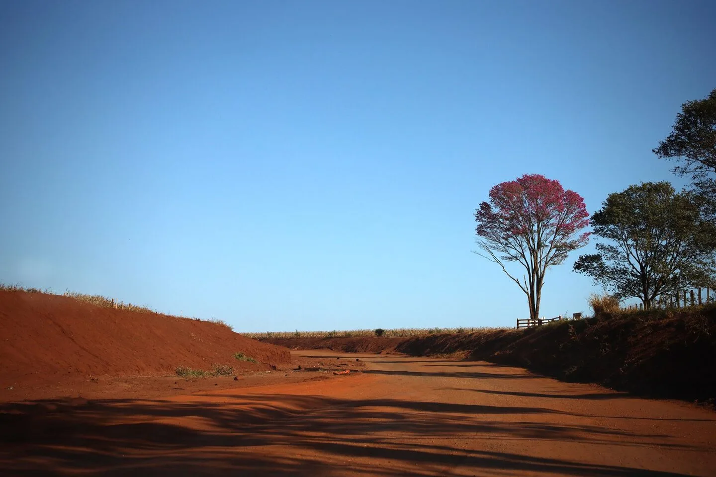 A máxima deve ficar acima dos 30ºC no momento mais quente do dia. - Foto: Reprodução/ Governo de MS