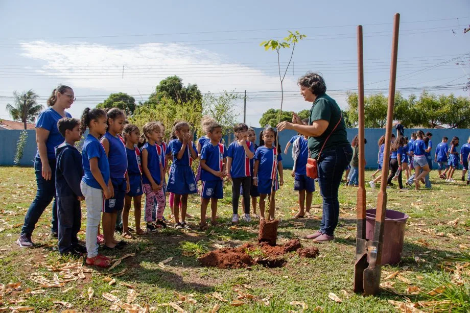 O programa busca honrar não apenas a quantidade de árvores em uma localidade, mas também a qualidade de sua gestão ambiental. - Foto: Divulgação/Assessoria