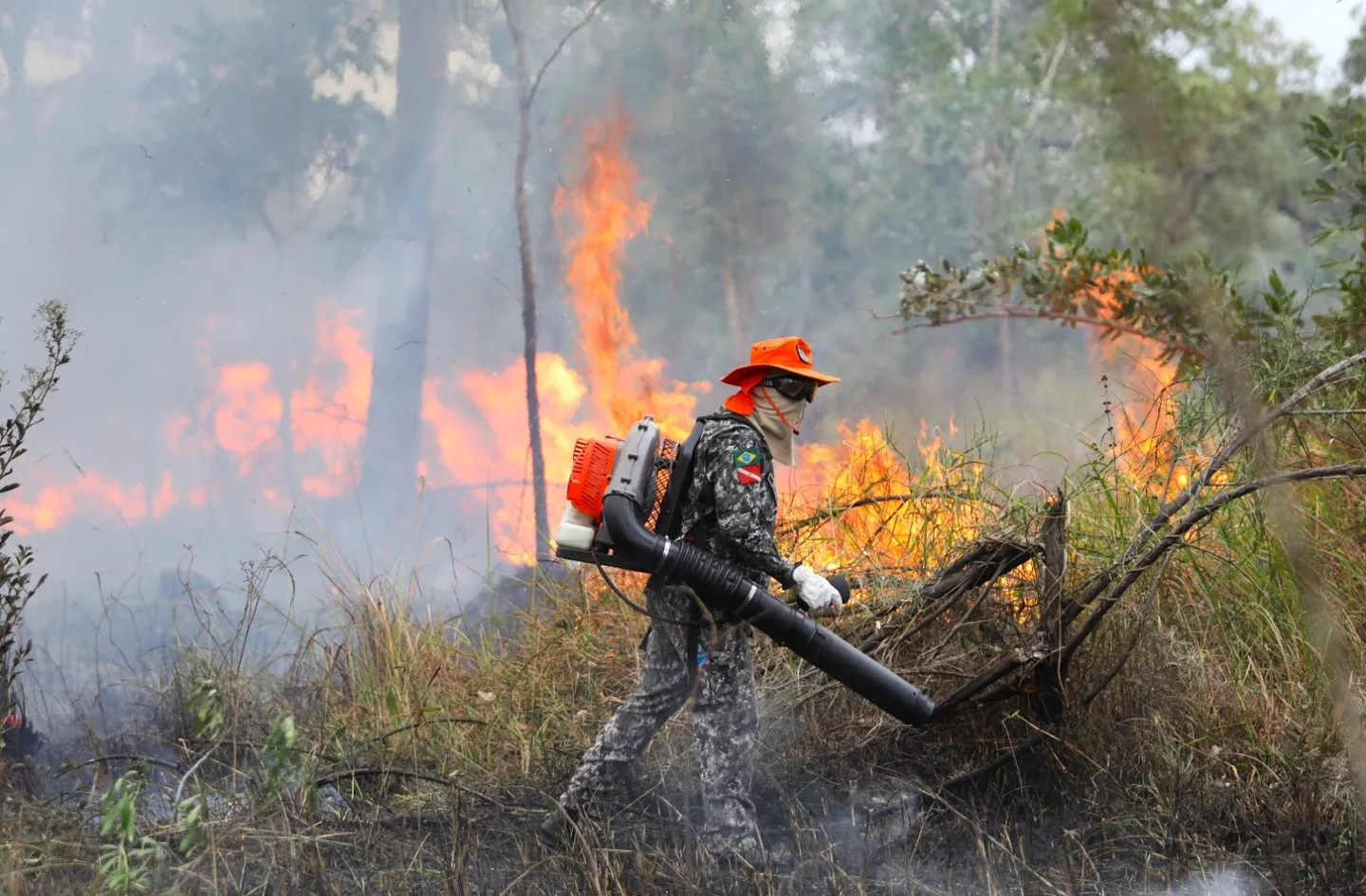 Atualmente seis áreas de incêndio estão ativas no Pantanal - Foto: Saul Schramm/ Governo do Estado