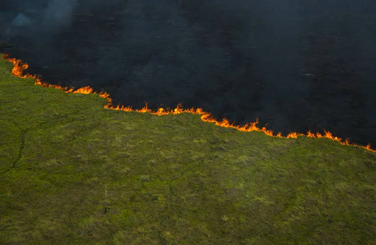 13 propriedades rurais foram identificadas como pontos de partida de incêndios - Foto: Divulgação/MPMMS