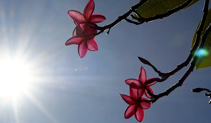 Com o calor acima da média e a baixa umidade do ar, a recomendação é beber bastante líquido, - Arquivo - RCN 67