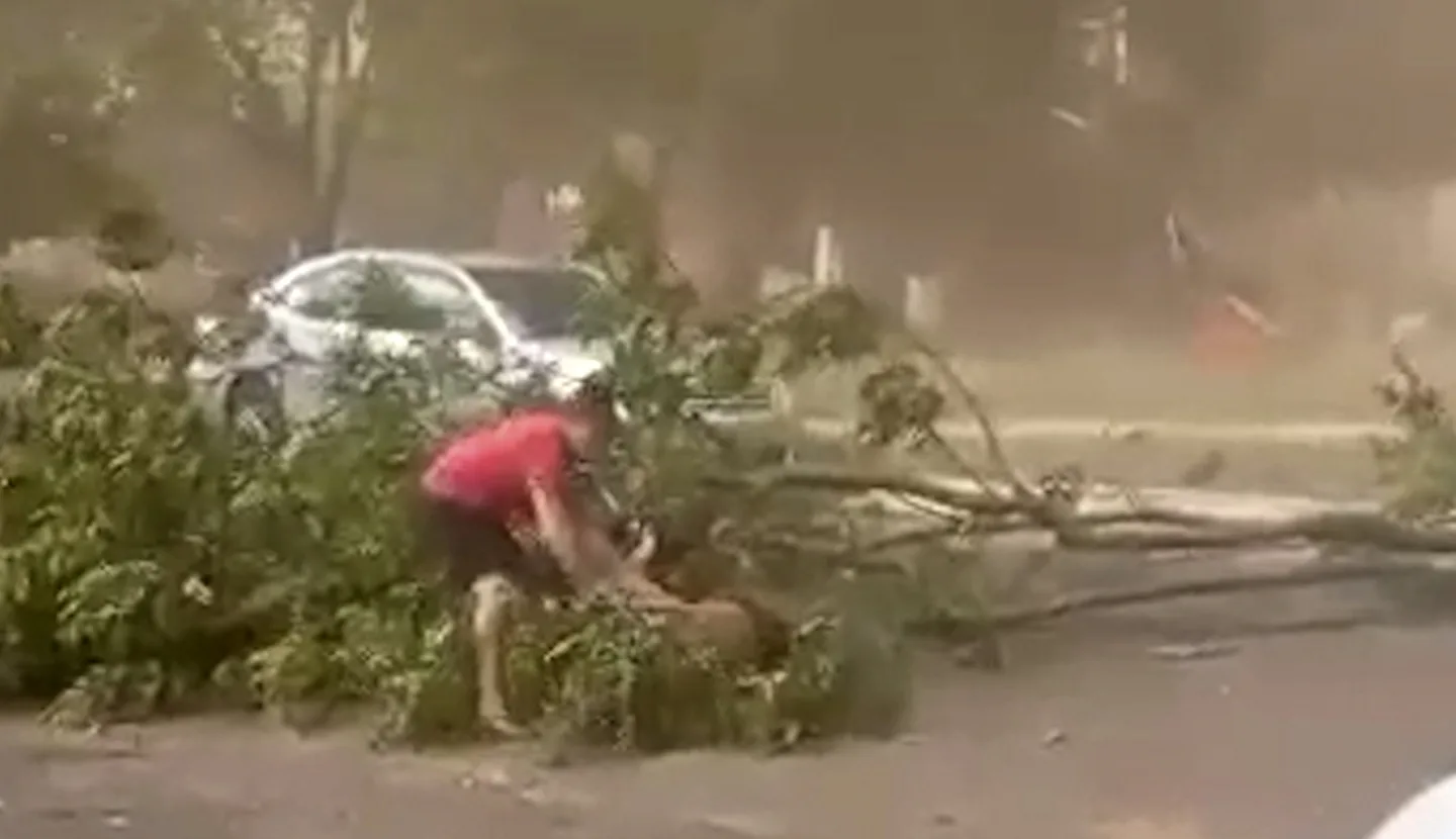 Motociclista é atingido por árvore durante vendaval com poeira em Ponta Porã - Foto: Reprodução Vídeo/Redes Sociais