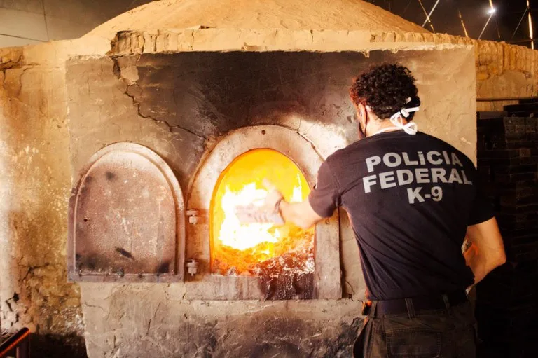 A incineração ocorreu na manhã desta terça-feira. - Foto: Arquivo/PF