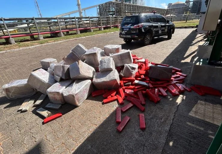 Polícia Civil incinera 1,6 toneladas de maconha em Três Lagoas com apoio da Perícia Técnica e Vigilância Sanitária. - Foto: Reprodução/Polícia Civil