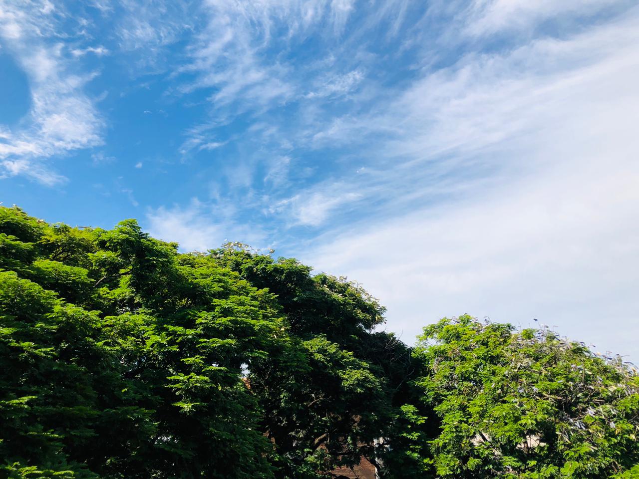 Campo Grande terá mínima de 3°C durante a semana - Foto: Arquivo/CBN CG